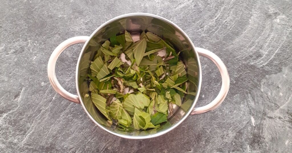 bladeren twijgen water