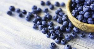 blauwe bosbes