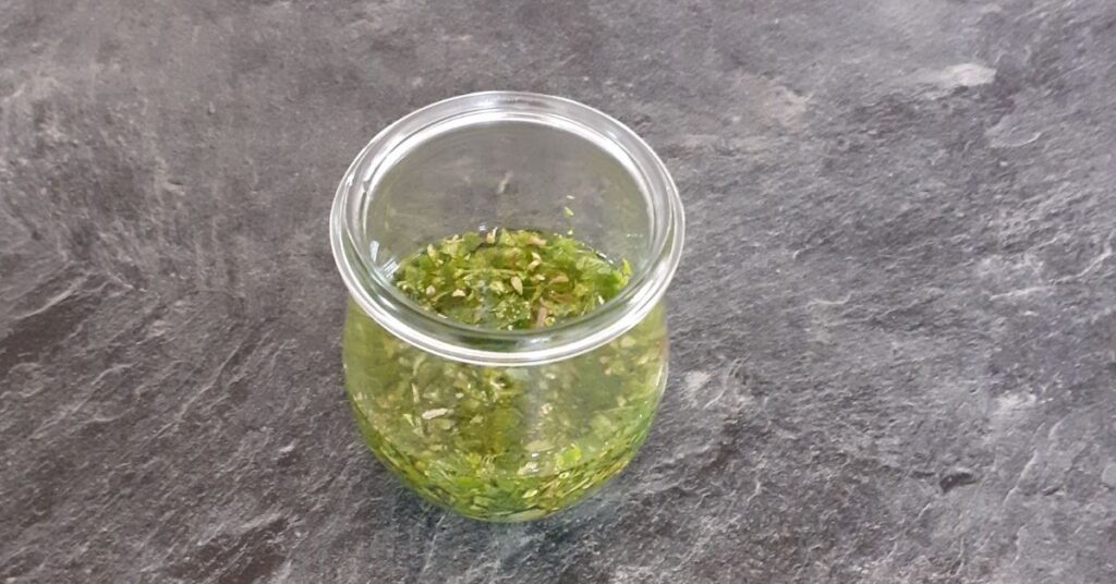 jenever blad twijg amerikaanse toverhazelaar