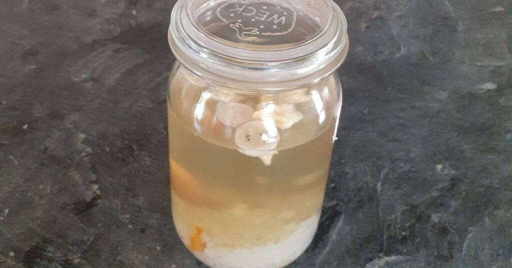 waterkefir macereren
