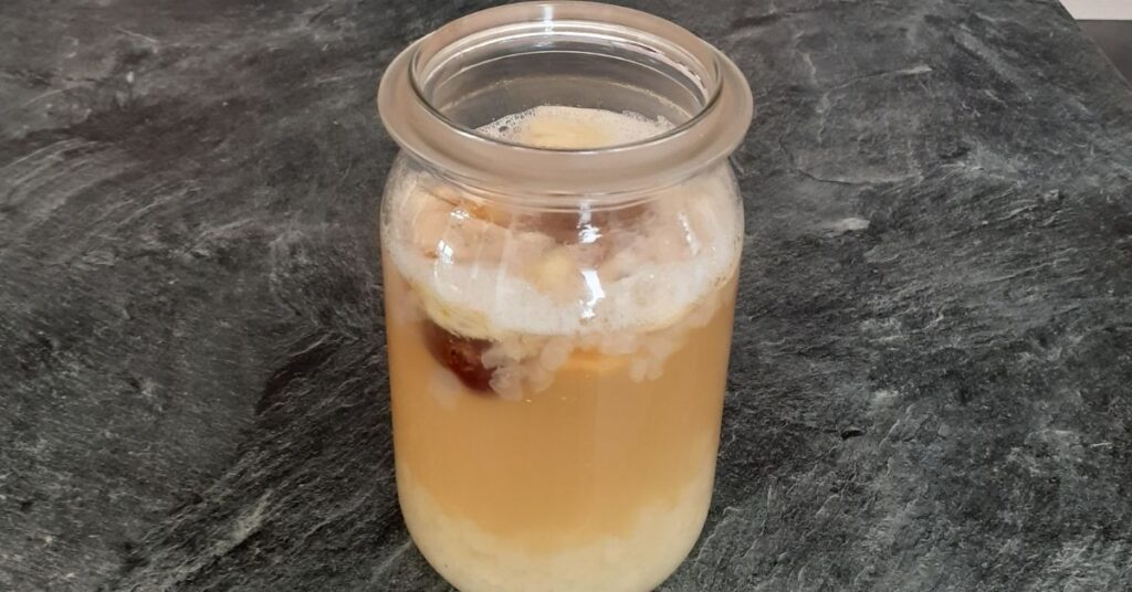 fermantatie proces waterkefir