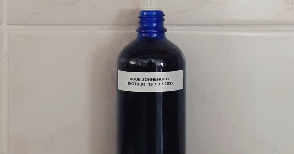 rode zonnehoed tinctuur