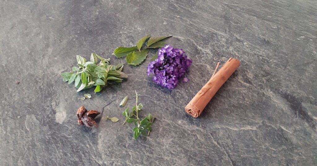 steranijs dropplant kaneelstok steranijs citroenverbena