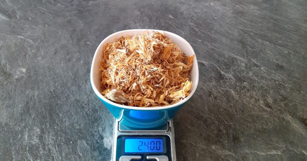 goudsbloem calendula officinalis