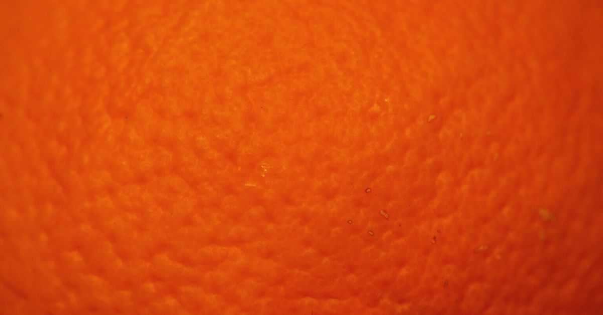 cellulite