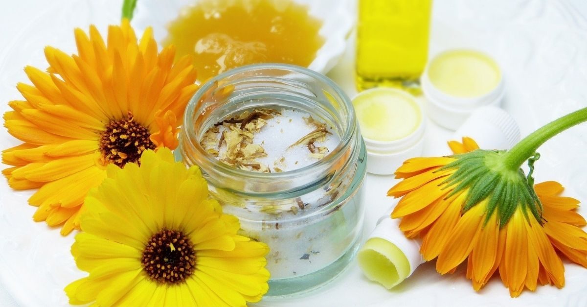 goudsbloem maceraat Calendula officinalis